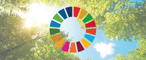 UN’s Sustainable Development Goals